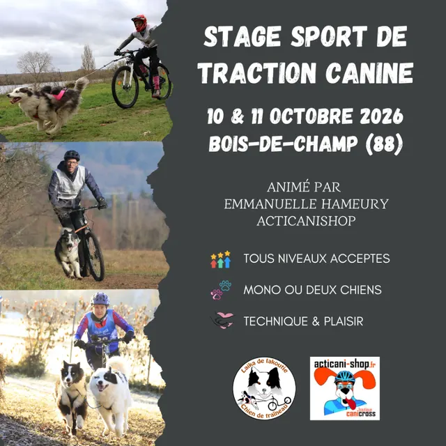Stage de traction canine - Animé par Acticanishop poster