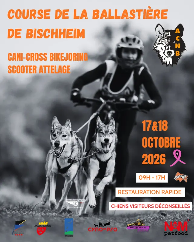 COURSE DE LA BALLASTIÈRE DE BISCHHEIM poster