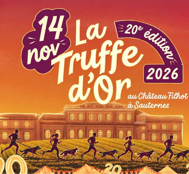 Affiche de Truffe d'or